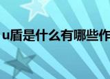 u盾是什么有哪些作用（关于u盾的作用介绍）