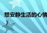 想安静生活的心情说说（关于安静生活的句子）