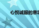 心悦诚服的意思（心悦诚服的解释）