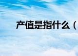 产值是指什么（产值是指意思是什么）