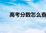 高考分数怎么查询（怎么查高考分数）