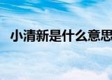 小清新是什么意思啊（小清新是什么意思）