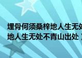 埋骨何须桑梓地人生无处不青山是什么意思（埋骨何须桑梓地人生无处不青山出处）