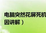 电脑突然花屏死机是怎么回事（花屏死机的原因讲解）