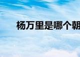 杨万里是哪个朝代的（是南宋的诗人）