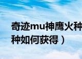 奇迹mu神鹰火种怎么获得（奇迹mu神鹰火种如何获得）