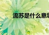 流苏是什么意思（流苏的两个意思）