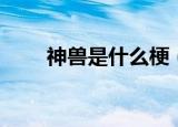 神兽是什么梗（神兽的意思是什么）