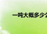 一吨大概多少公斤（一吨是多少斤）