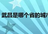 武昌是哪个省的城市（武昌是湖北省的城市）