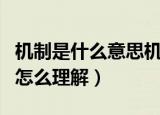 机制是什么意思机制通俗的是什么意思（机制怎么理解）