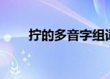 拧的多音字组词（汉字拧怎么组词）