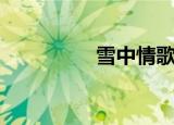 雪中情歌词（歌曲介绍）