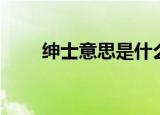 绅士意思是什么意思（绅士的含义）