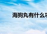 海狗丸有什么功效（海狗丸的功效）