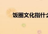 饭圈文化指什么（饭圈文化的意思）