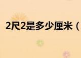 2尺2是多少厘米（2尺2换算成厘米是多少）