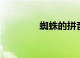蜘蛛的拼音（蜘蛛怎么读）