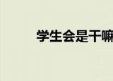学生会是干嘛的（学生会是什么）