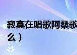 寂寞在唱歌阿桑歌词（寂寞在唱歌的歌词是什么）