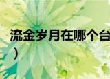 流金岁月在哪个台播出（流金岁月电视剧简介）
