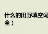 什么的田野填空词语（什么的田野填空词语大全）