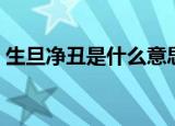 生旦净丑是什么意思（它们各自指的是什么）
