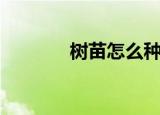 树苗怎么种（树苗种植方法）