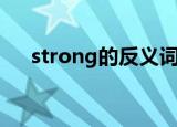 strong的反义词（strong是什么意思）