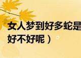 女人梦到好多蛇是什么寓意（女人梦到好多蛇好不好呢）