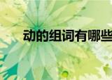 动的组词有哪些（动的组词包括什么）