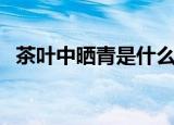 茶叶中晒青是什么意思（茶叶中晒青含义）