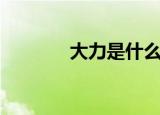 大力是什么字（大力怎么读）
