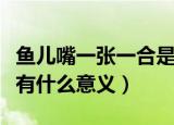 鱼儿嘴一张一合是在干什么（鱼儿嘴一张一合有什么意义）