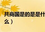 共商国是的是是什么意思（共商国是的意思什么）