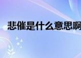 悲催是什么意思啊（悲催的意思是什么啊）