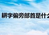 耕字偏旁部首是什么（汉字耕的偏旁是什么）