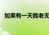 如果有一天我老无所依歌词（春天里歌词）