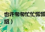 也许匆匆忙忙慌慌张张是什么歌（整首歌词介绍）