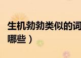 生机勃勃类似的词语（生机勃勃类似的词语有哪些）