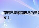 荷尽已无擎雨盖尽的意思是什么（荷尽已无擎雨盖原诗及译文）