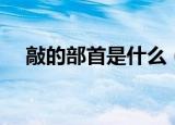 敲的部首是什么（汉字敲的部首是什么）
