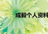 成毅个人资料（关于成毅的简介）