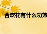 合欢花有什么功效（合欢花的功效有哪些）