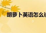 胡萝卜英语怎么说（胡萝卜英文是什么）