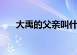 大禹的父亲叫什么（大禹父亲的简介）