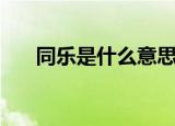 同乐是什么意思呀（同乐的意思讲解）