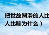把世故圆滑的人比喻为什么（请问世故圆滑的人比喻为什么）