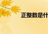 正整数是什么（正整数简介）
