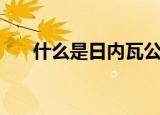 什么是日内瓦公约（啥是日内瓦公约）